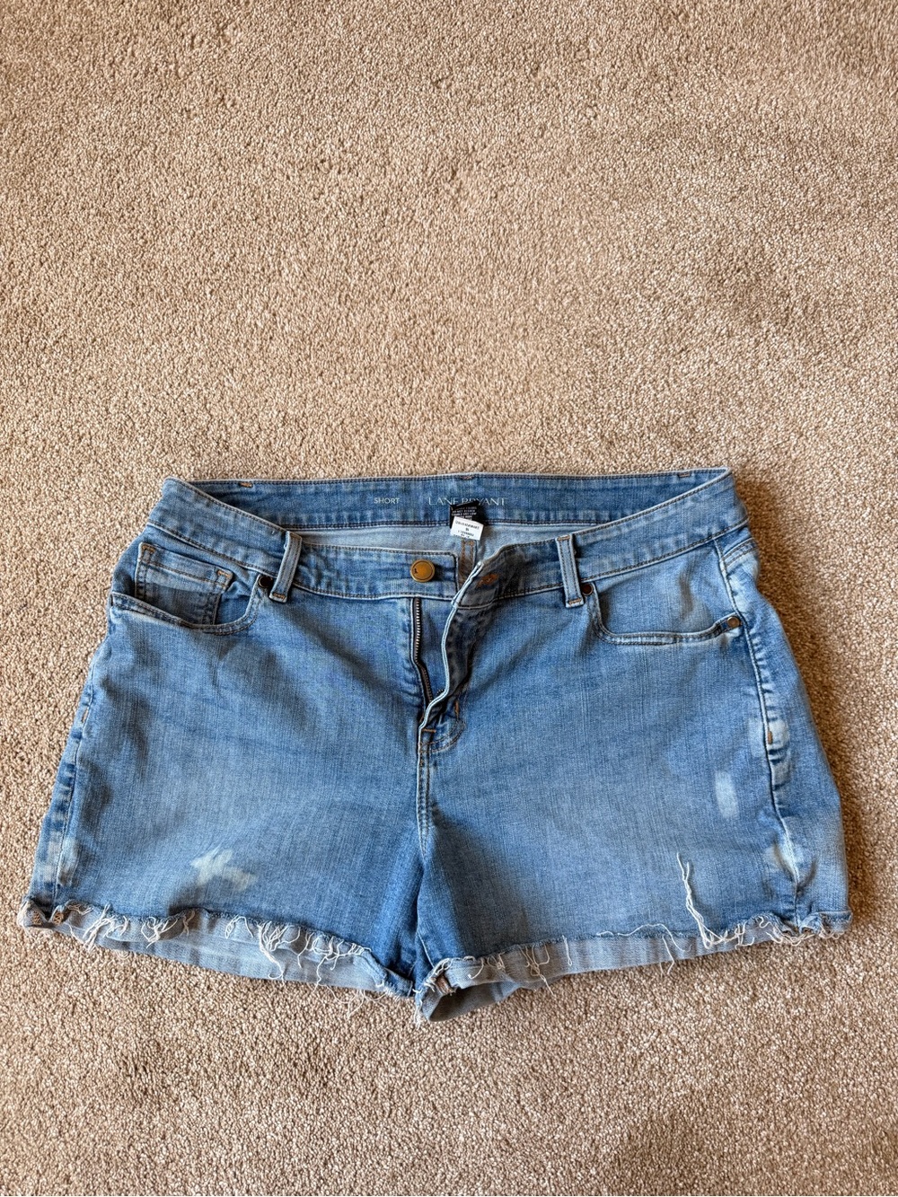 Lane Bryant Light Blue Distressed Denim Shorts